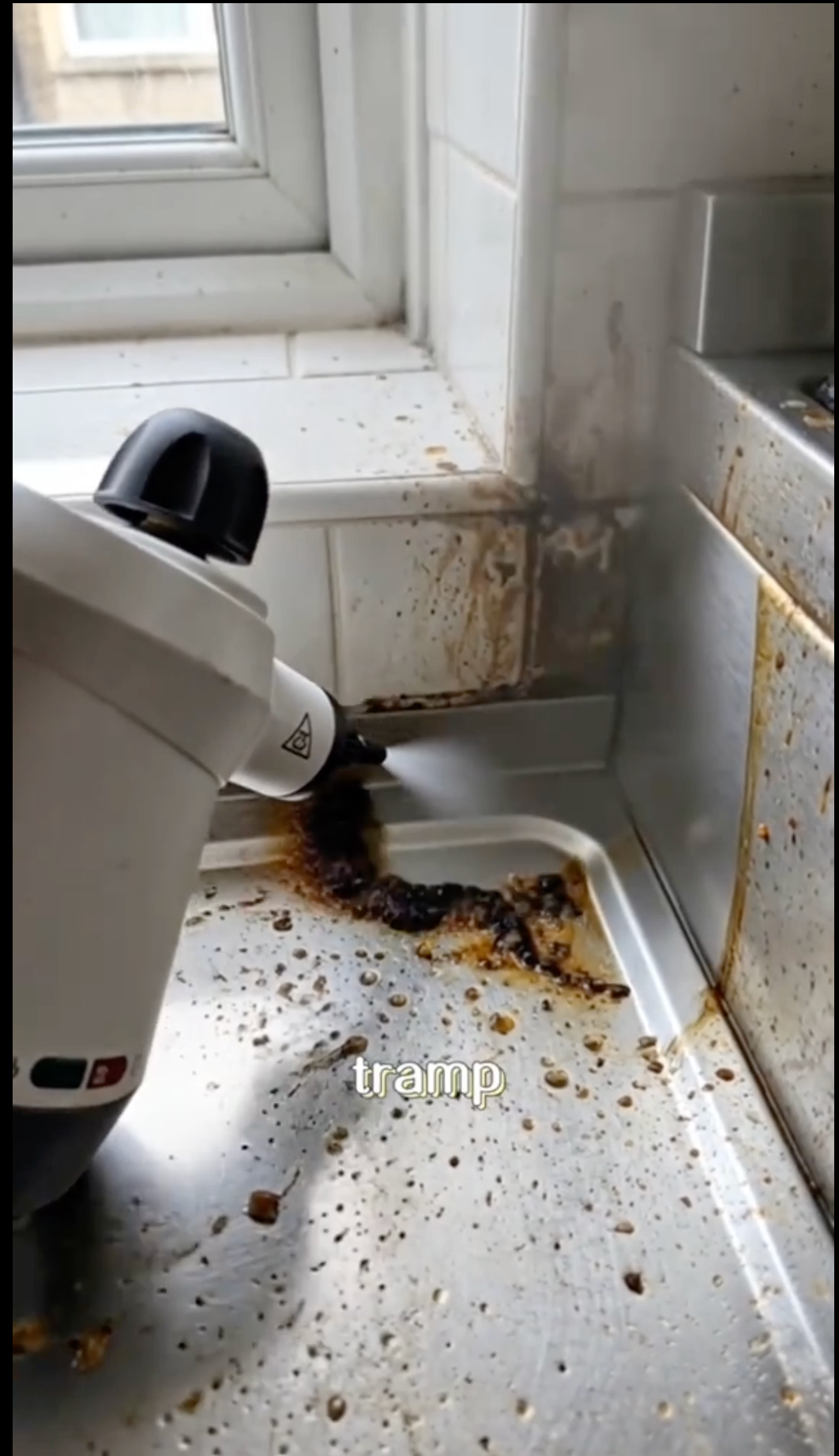 GrimeLift Pro Steam Cleaner